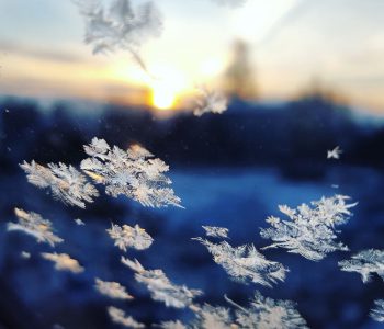 Vintern – från vilken sida av fönstret?
