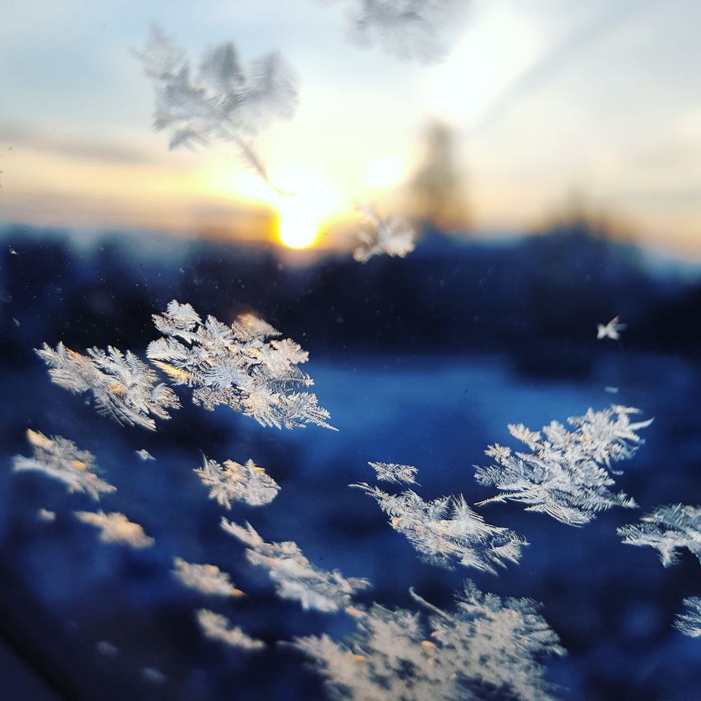 Vintern – från vilken sida av fönstret?